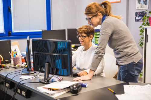 Facon Srl si occupa dello sviluppo e della commercializzazione di cablaggi elettrici
